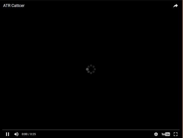 3 Atr Cattcer 640x640 3 Atr Cattcer 640x640